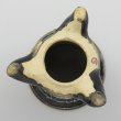 画像5: 万年青鉢　加茂黒 (5)