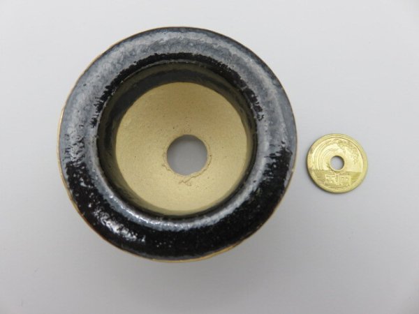 画像6: 富貴蘭鉢　ミニ鉢　 (6)