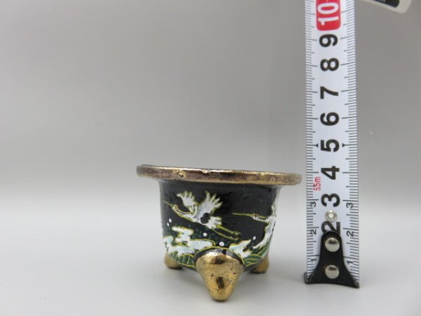 画像4: 富貴蘭鉢　ミニ鉢　 (4)