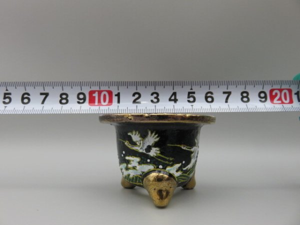 画像5: 富貴蘭鉢　ミニ鉢　 (5)