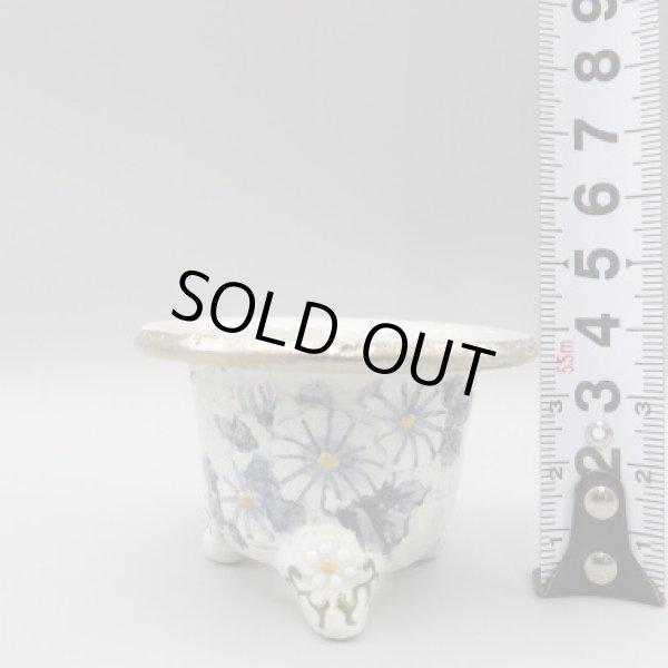 画像5: 富貴蘭鉢　ミニ鉢　 (5)